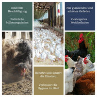 Produktbild von Petigi Badesand Urgesteinsmehl als Staubbad und Einstreu für Hühner, Enten, Wachteln und Tauben - 5 kg