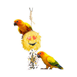 Produktbild von Petlala Emoji Pinata Intelligenzspielzeug für Vögel aus Papier Gelb