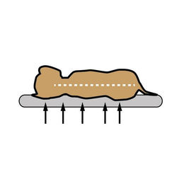 Petlando Lima Ortho Hundebett XL mit Memory Foam in Tabacco Beige – Bild 1 von 7
