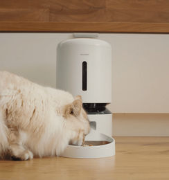 Petlibro Automatischer Futterautomat mit WIFI-Steuerung Weiß mit einzelner Schale – Bild 1 von 1