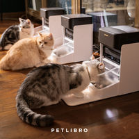 Produktbild von Petlibro Dockstream Akkubetriebener Automatischer Katzenbrunnen Schwarz