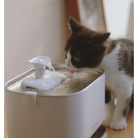 Produktbild von Petlibro Dockstream Akkubetriebener Automatischer Katzenbrunnen Weiß