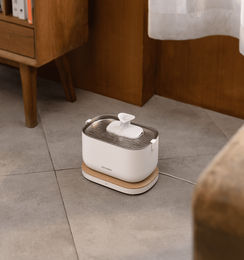 Produktbild von Petlibro Dockstream App-gesteuerter Wasserspender mit 8er-Packung Filtern Weiß