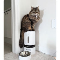 Produktbild von Petlibro Granary Automatischer intelligenter Haustierfutterautomat mit Kamera Weiß mit Einzelner Schale