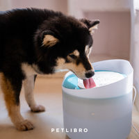 Produktbild von Petlibro Hundetrinkbrunnen mit Kapsel und 8er-Packung Filtern in Weiß und Transparent