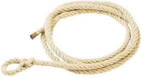 Produktbild von PETMEX Longierleine Corderie Palus aus Baumwolle 14 mm 4m Beige