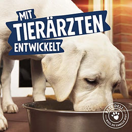Pets Deli Green Insect Hunde Nassfutter auf Insektenbasis mit Süßkartoffel, Kürbis & Spinat, hypoallergen, glutenfrei und ohne Zucker, 6x375g - 6 x 375 g – Bild 1 von 3
