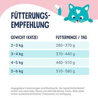 Produktbild von Pets Deli Katzen Nassfutter Lachs in Sauce, getreidefrei, glutenfrei und ohne Zucker, 12x70g - 12 x 70 g