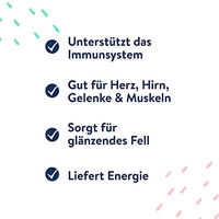 Produktbild von Pets Deli Lachsöl für Hunde als Haut-Fell-Supplement ohne Farb- und Aromastoffe 250 ml - 250 ml
