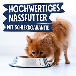 Pets Deli Mini Hunde Nassfutter Rind mit hohem Fleischanteil getreidefrei und glutenfrei 16x100 g - 16 x 100 g – Bild 1 von 3