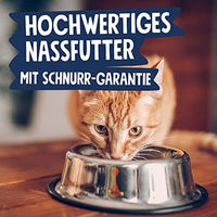 Produktbild von Pets Deli Pure Meat Katzen Nassfutter Ente Pastete getreidefrei ohne Zucker 12x85g - 12 x 85 g