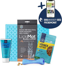 Produktbild von Pets Deli Schleckmatte Bunt für Junior Hunde