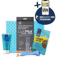 Produktbild von Pets Deli Schleckmatte Bunt für Junior Hunde