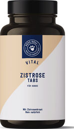 Produktbild von Pets Deli Vital Zistrose-Tabs für Senioren Hunde gegen Zecken 160 Stk./240 g - 240 g
