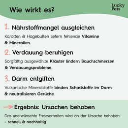 PETS Gras- und Kotfresser Tabletten für Hunde zur Magen-Darm-Unterstützung und Verdauungshilfe – Bild 1 von 2