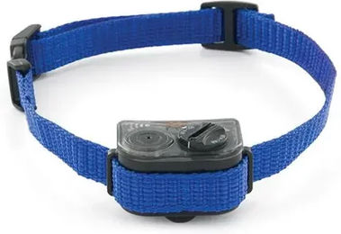 Produktbild von PetSafe Anti-Bell-Erziehungshalsband für kleine Hunde aus blauem Nylon in Größe S wasserfest