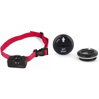 Produktbild von PetSafe Anti-Bell-Erziehungshalsband für kleine Hunde aus Nylon in Rot