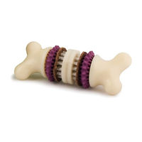 Produktbild von PetSafe Busy Buddy Bristle Bone Kauspielzeug für Hunde aus Nylon mit Zahnpflege-Effekt Mittel