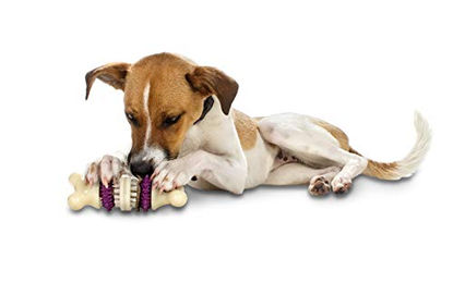PetSafe Busy Buddy Bristle Bone Kauspielzeug für Hunde aus Nylon mit Zahnpflege-Funktion Größe S – Bild 1 von 4