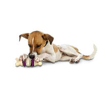 Produktbild von PetSafe Busy Buddy Bristle Bone Kauspielzeug für Hunde aus Nylon mit Zahnpflege-Funktion Größe S