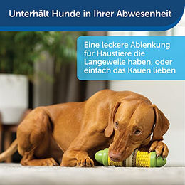 PetSafe Busy Buddy Kauspielzeug aus Naturkautschuk für Hunde Größe L - 1 Stk. – Bild 1 von 8