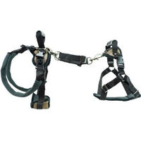 Produktbild von PetSafe CareLift Unterstützungsgeschirr für Hunde Senior Beige Schwarz M - 1 Stk.