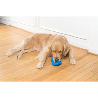 Produktbild von PetSafe Chilly Penguin Interaktives Intelligenzspielzeug aus Gummi für Hunde Blau M/L - 1 Stk.