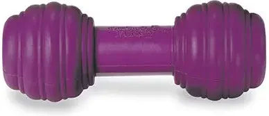 PetSafe Chuckle Kauspielzeug aus Gummi für Hunde XL Lila – Bild 1 von 9