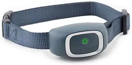 Produktbild von PetSafe Deluxe Anti-Bell-Erziehungshalsband für kleine Hunde aus Nylon in Blau