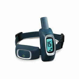 PetSafe Dressurhalsband für Hunde aus Kunststoff in Blau – Bild 1 von 2