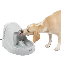 PetSafe Drinkwell Platinum Trinkbrunnen Mini für Haustiere aus Kunststoff in Grau oder Weiß - 5 l – Bild 1 von 11