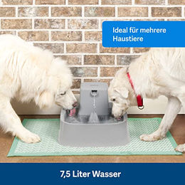 PetSafe Drinkwell Trinkbrunnen für Hunde und Katzen mit Wasserfall-Funktion 7,5 Liter - 7,5 l – Bild 1 von 8