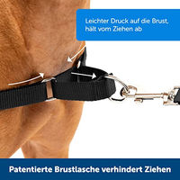 Produktbild von PetSafe Easy Walk Anti-Zieh-Hundegeschirr mit 1,8 m Führleine aus Nylon in Rosa Größe L