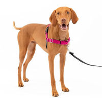 Produktbild von PetSafe Easy Walk Anti-Zieh-Hundegeschirr mit 1,8 m Leine aus Nylon in Rosa Größe M