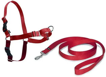 PetSafe Easy Walk Anti-Zieh-Hundegeschirr mit 1,8 m Leine aus Nylon in Rot, Größe M – Bild 1 von 9