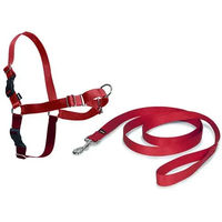Produktbild von PetSafe Easy Walk Anti-Zieh-Hundegeschirr mit 1,8 m Leine aus Nylon in Rot, Größe M