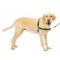 Produktbild von PetSafe Easy Walk Anti-Zieh-Hundegeschirr mit 1,8 m Leine Schwarz Größe L - 1 Stk.
