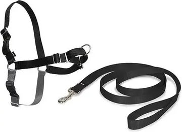 PetSafe Easy Walk Anti-Zieh-Hundegeschirr mit Führleine Schwarz Größe M - 1,8 m – Bild 1 von 12