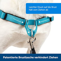 PetSafe Easy Walk Deluxe Anti-Zieh-Hundegeschirr mit Reflektoren Blau Größe S – Bild 1 von 12
