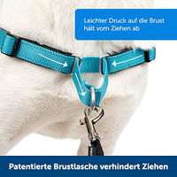 Produktbild von PetSafe Easy Walk Deluxe Anti-Zieh-Hundegeschirr mit Reflektoren Blau Größe S