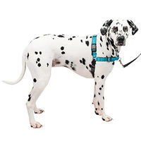 Produktbild von PetSafe Easy Walk Deluxe Hundegeschirr mit 1,8 m Leine Neopren Blau Schwarz Größe L