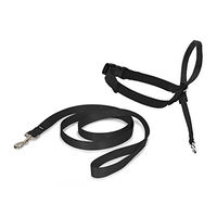 Produktbild von PetSafe Easy Walk Hundekopfhalfter aus Nylon in Schwarz Größe M