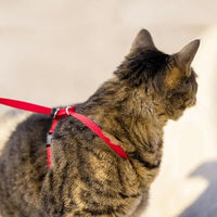 Produktbild von PetSafe Easy Walk Katzengeschirr mit elastischer Bungee-Leine Rot Größe M