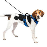 Produktbild von PetSafe EasySport Hundegeschirr aus Nylon Blau Größe L - 1 Stk.