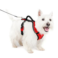 Produktbild von PetSafe EasySport Hundegeschirr aus Nylon in Rot Größe S