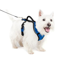 Produktbild von PetSafe EasySport Hundegeschirr Blau Größe S - 1 Stk.