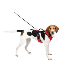 PetSafe EasySport Hundegeschirr für große Rassen Rot Größe L – Bild 1 von 13