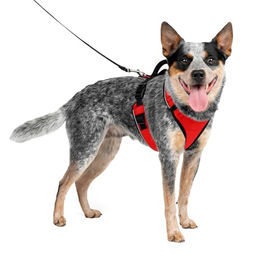 PetSafe EasySport Hundegeschirr für mittlere Rassen Rot Größe M - 1 Stk. – Bild 1 von 11