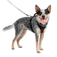 Produktbild von PetSafe EasySport Hundegeschirr Schwarz Größe M für mittlere Rassen - 1 Stk.