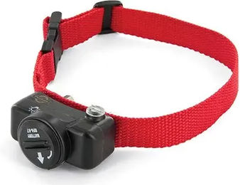 PetSafe Ersatz-Halsband für Hunde in Rot – Bild 1 von 2